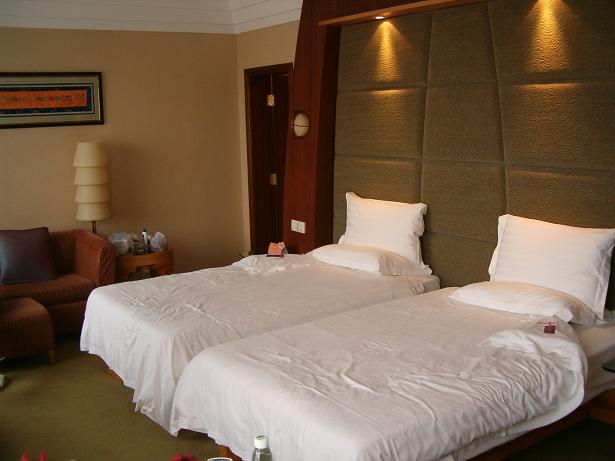 twin room tibet hotel