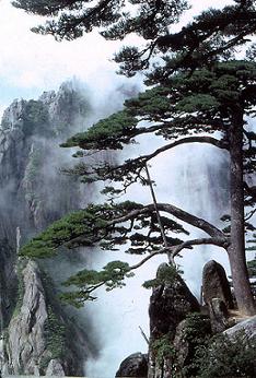 Huangshan China; free picture from Wikipedia; Immanuel Giel