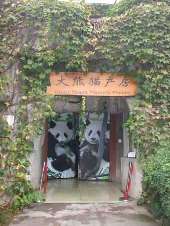 panda breeding center chengdu